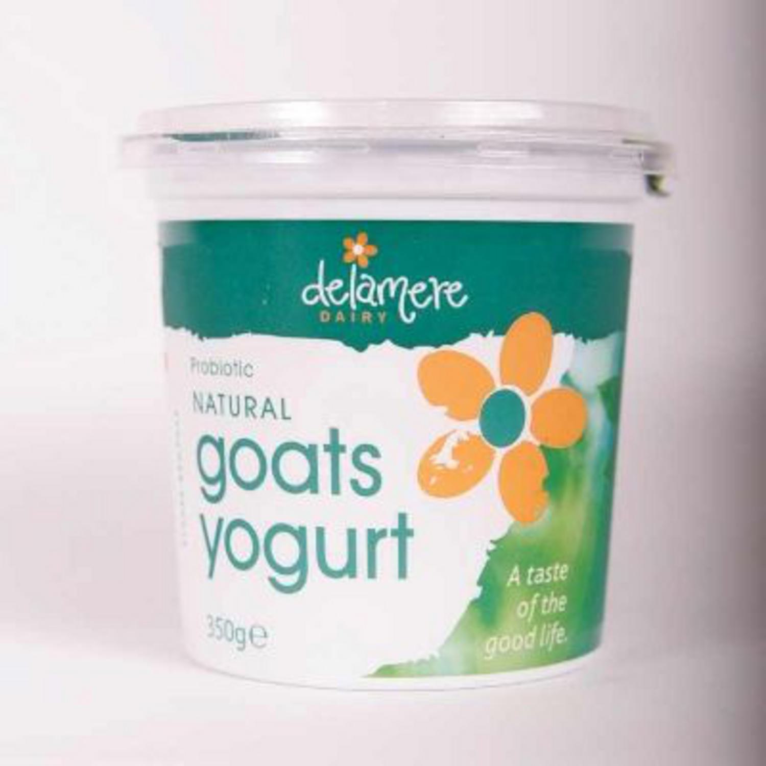 Plain Goats Yoghurt in 450g tub from Delamere Dairy