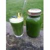 Raw Ultimate Green Juice Recipe thumbnail image