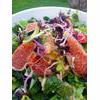 Vegetarian Cherry Tomato, Mozzarella And Fig Salad Recipe thumbnail image