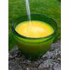 Raw Apple And Orange Breakfast Juice Recipe thumbnail image