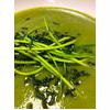 Nutritious Alkalising Courgette Basil And Spirulina Soup Recipe thumbnail image