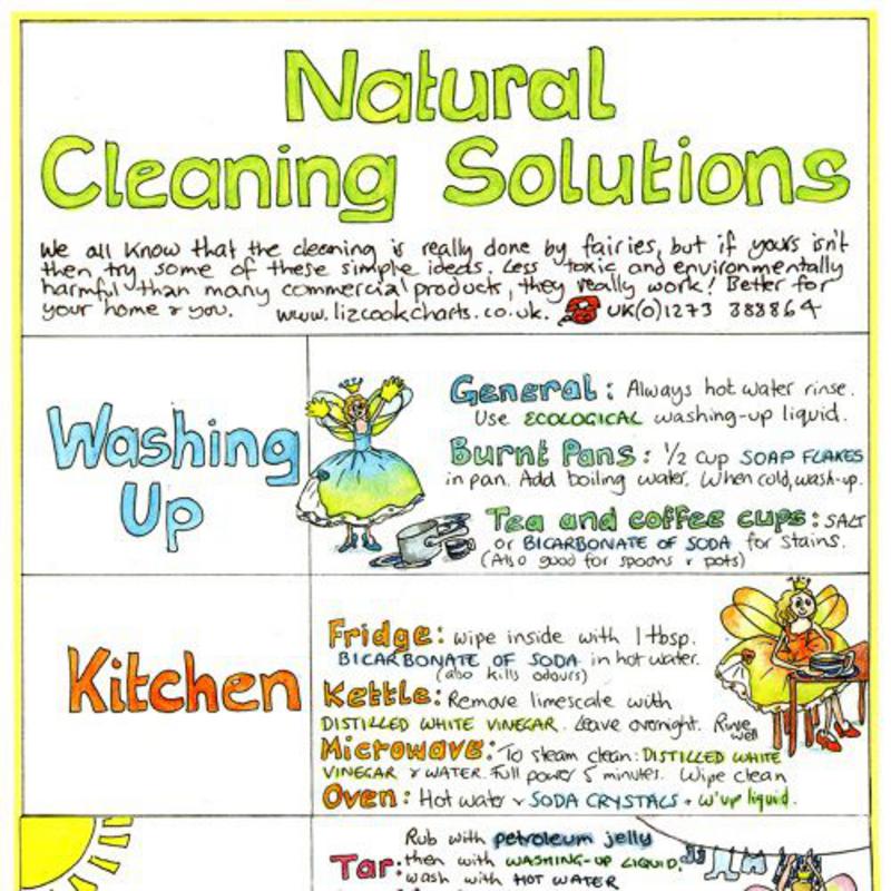 Eco-friendly-cleaning-liz-cook-chart