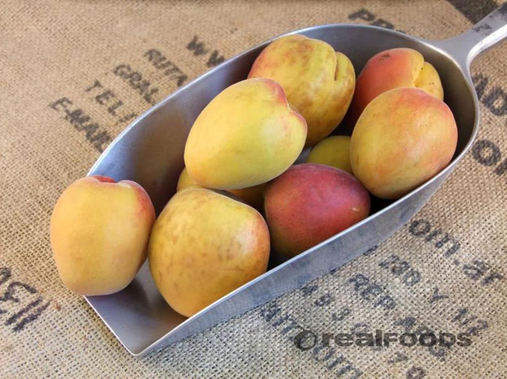 All About Apricots