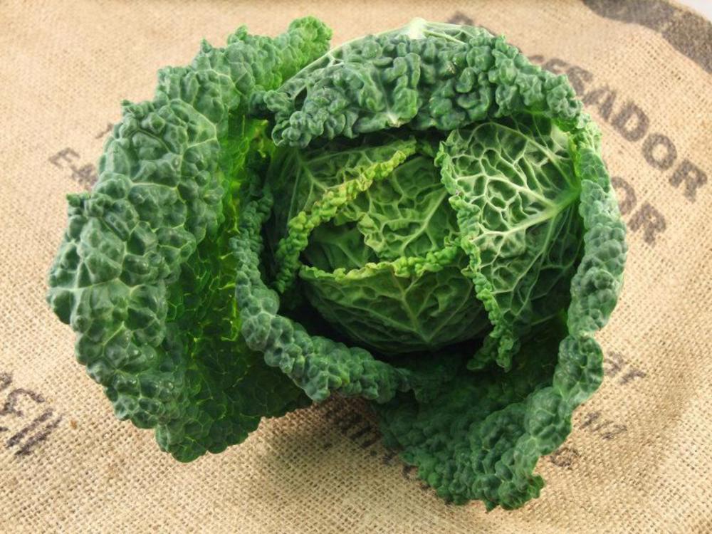 Savoy-Cabbage-Organic-From -Real-Foods