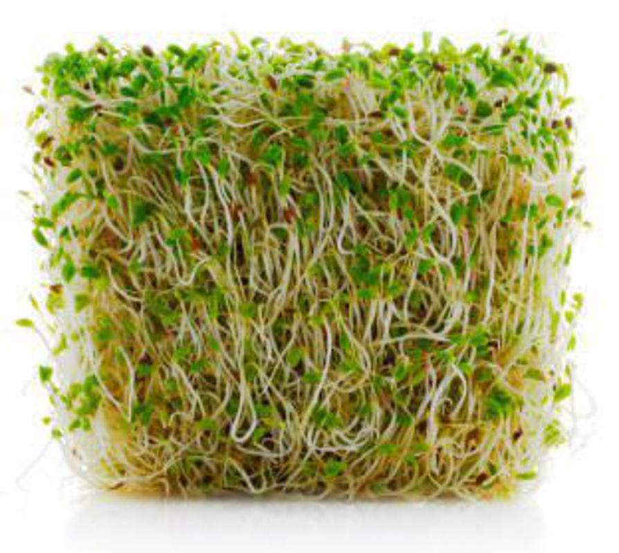 Real-Foods-Raw-Food-Explained-Sprouts-Alfalfa