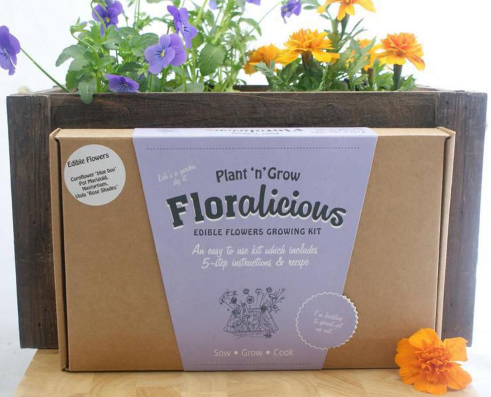 Edible-Flowers-PlantnGrow