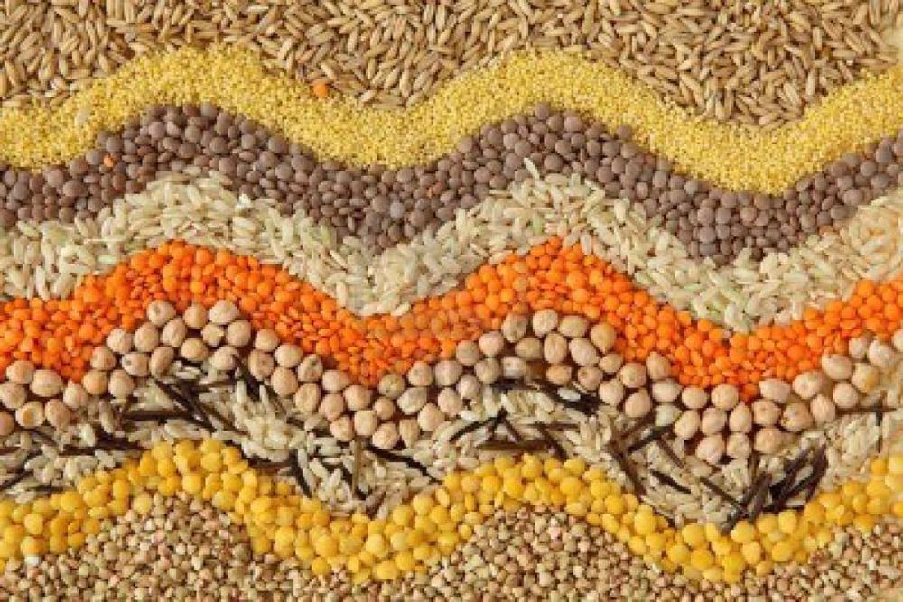 The Real Foods Guide to Grains