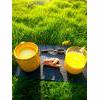 Vegan Naturally Sweetened Turmeric Rice Milk Recipe thumbnail image