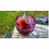 Alcohol Free Christmas Mulled Grape Juice Recipe thumbnail image