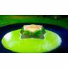 Egg and Green Pea Aspic Recipe thumbnail image