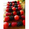 Raw Fruit Kebabs Recipe thumbnail image