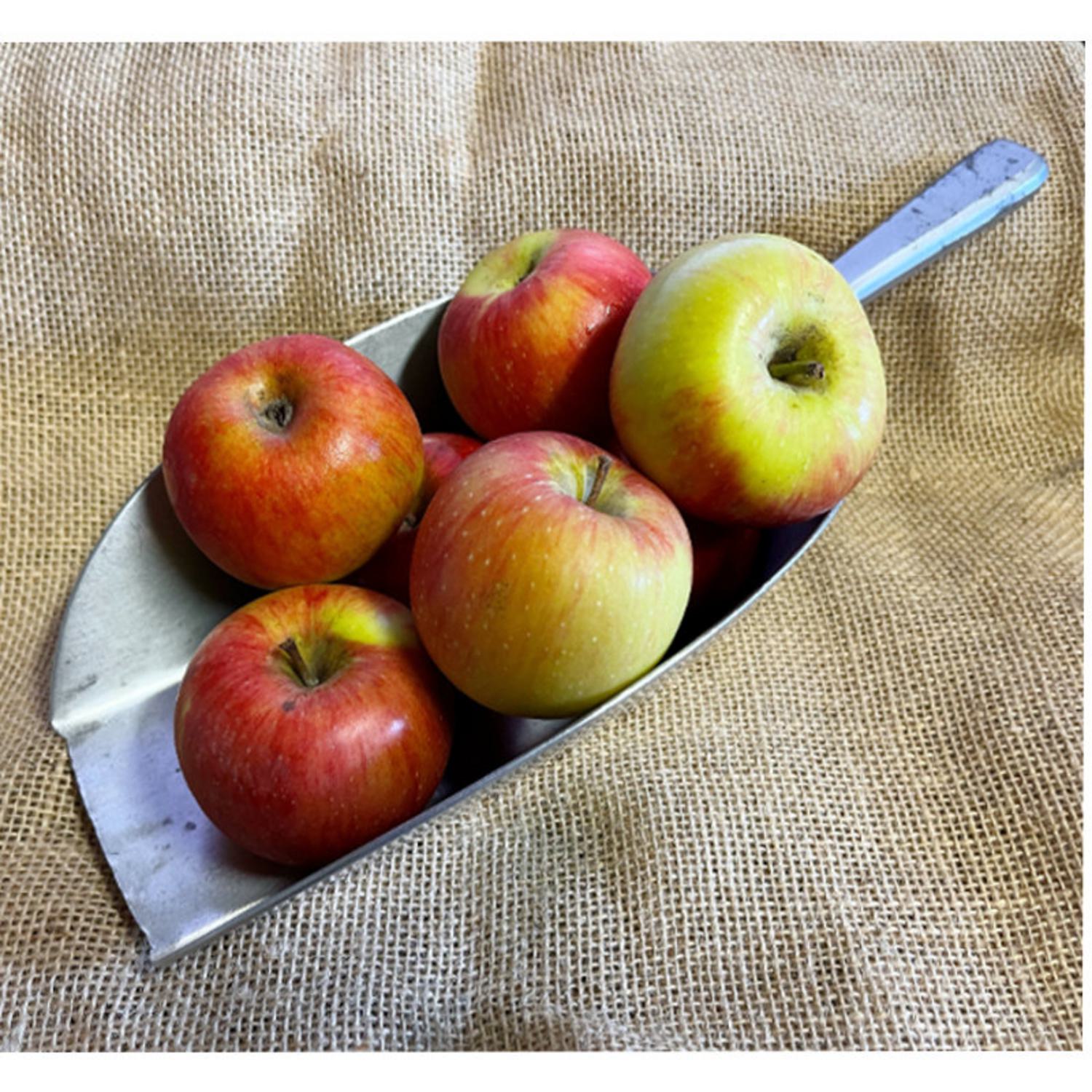 Eating the skin of Juliet® organic apples. - Juliet Apple