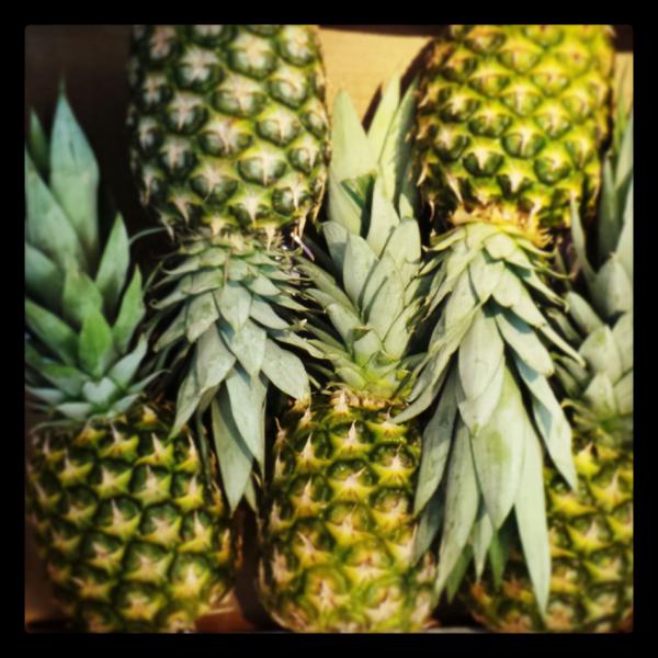 Pineapple ORGANIC image 2