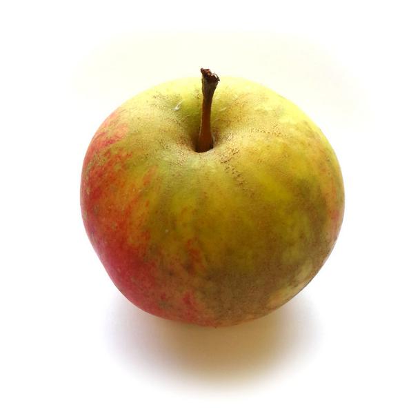 George Cave Apples ORGANIC