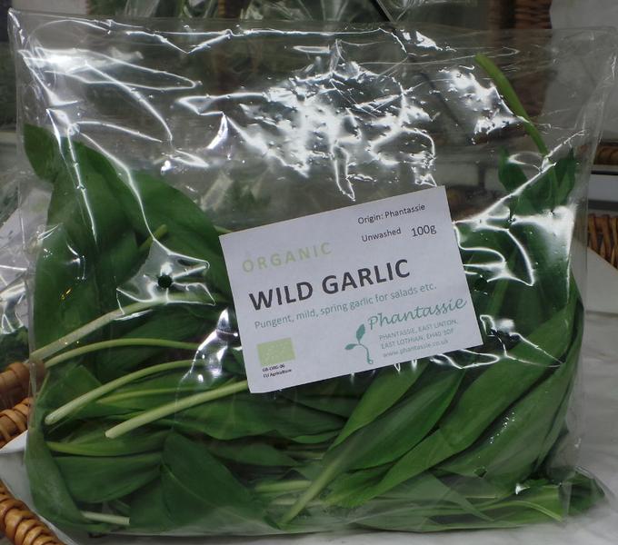 Wild Garlic Leaves Scotland ORGANIC image 2