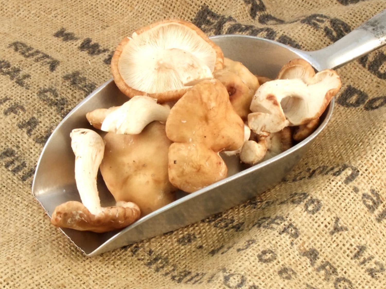 Fresh Organic Shiitake Mushrooms