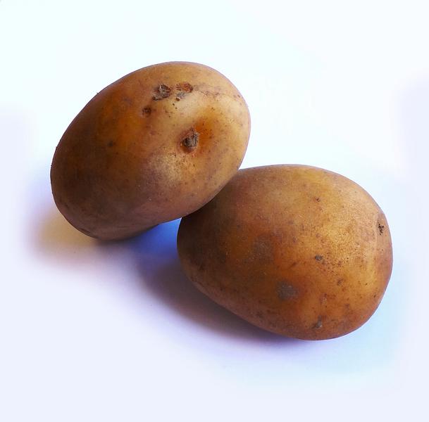 Sante Potato ORGANIC