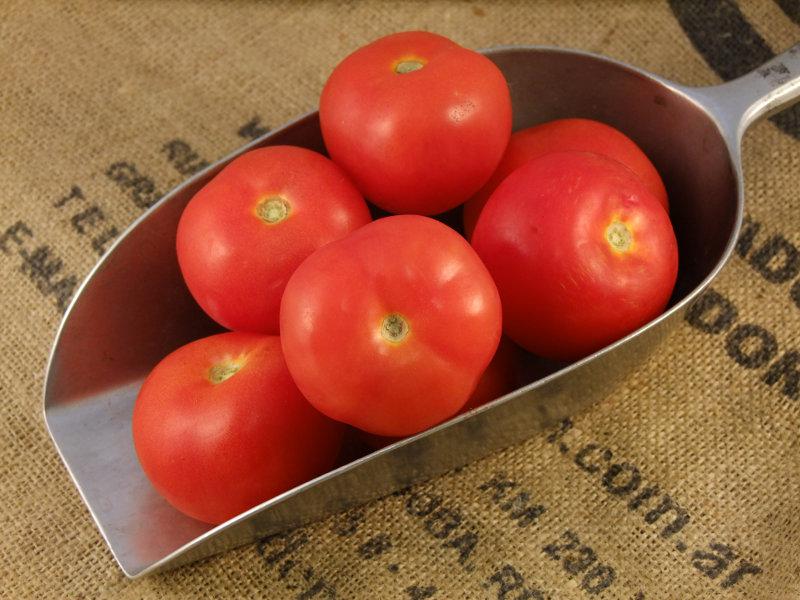 Tomatoes ORGANIC
