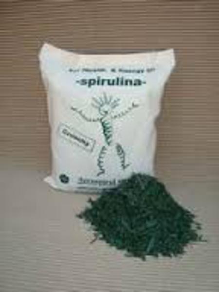Spirulina Crunchies With Chilli 
