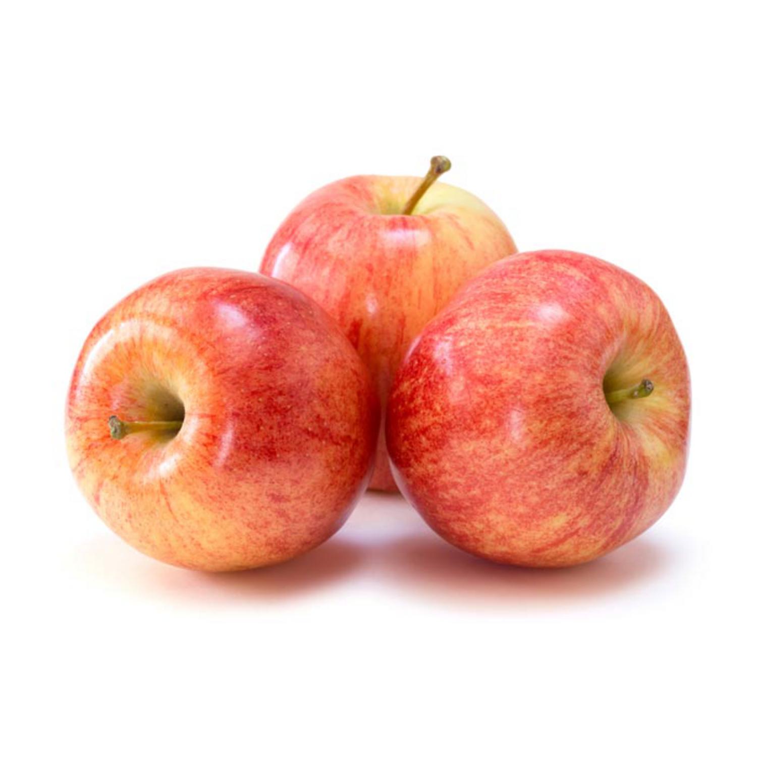 Organic Gala Apples from China, Gala Apple Wholesale