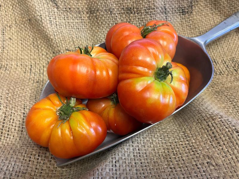Heirloom Tomatoes UK ORGANIC