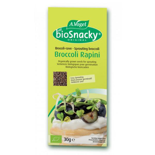 Broccoli Seed Sprouting BioSnacky ORGANIC