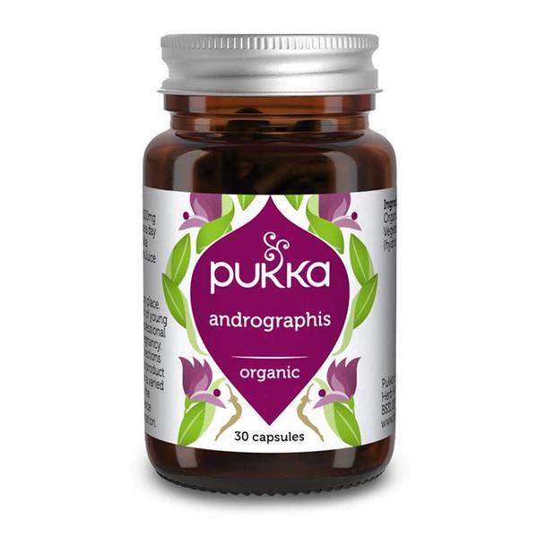 Andrographis Supplement ORGANIC image 2