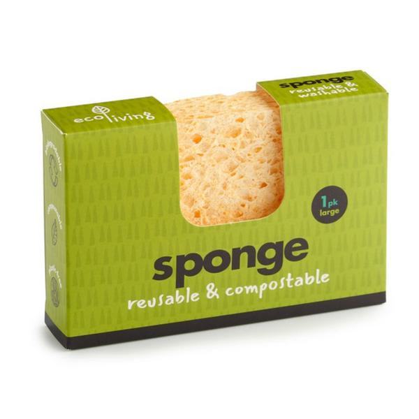  Compostable Sponge