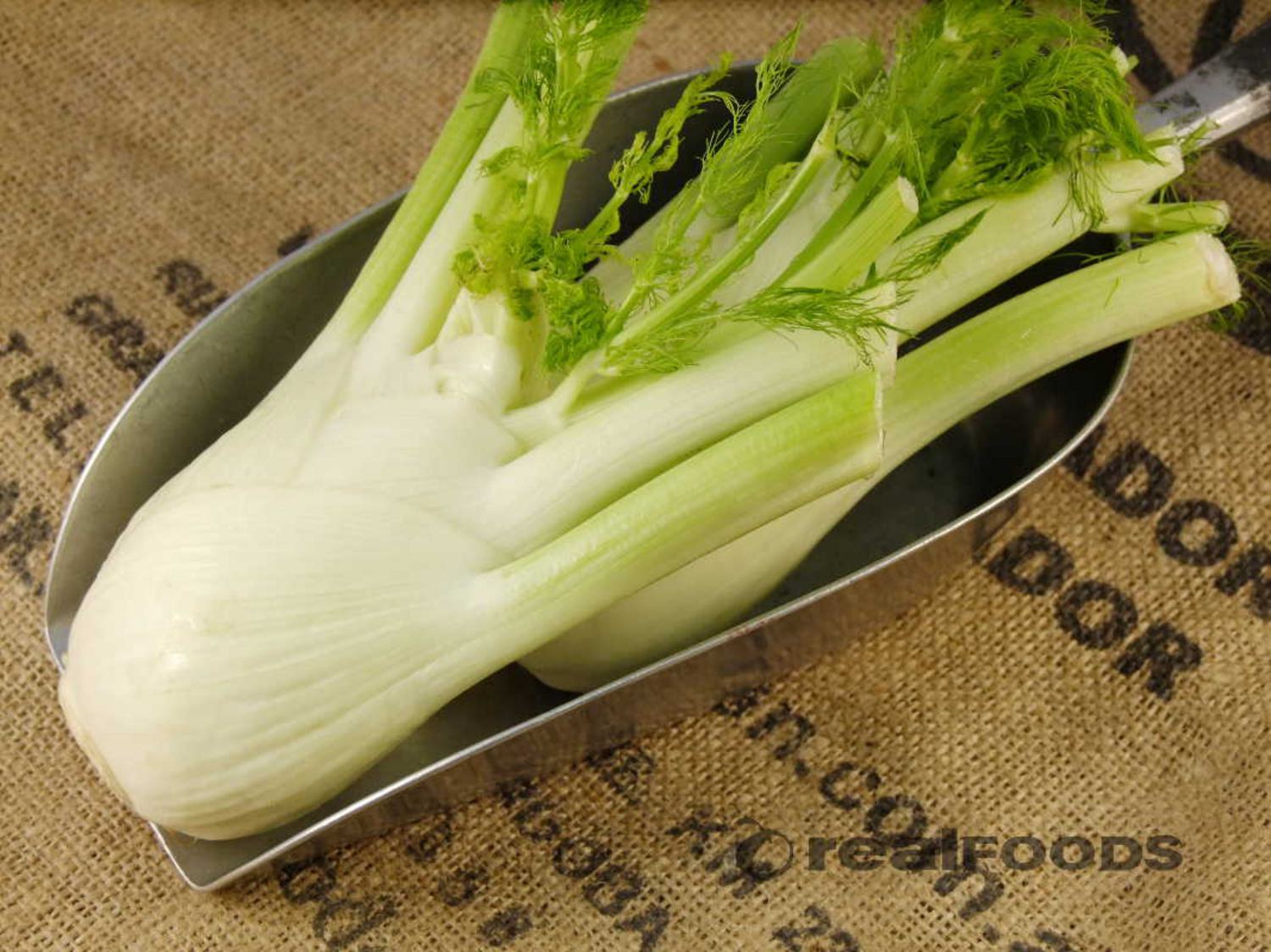 Organic Fennel in 1head from Real Foods