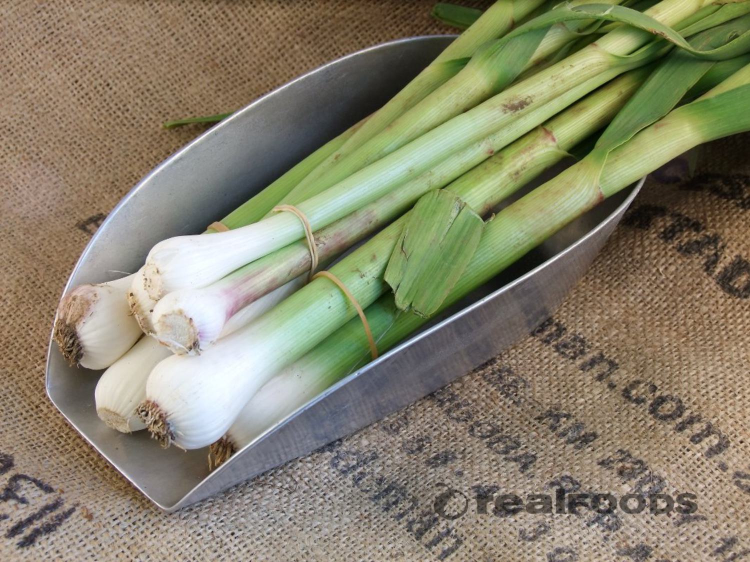 Organic Fresh Garlic in 1bunch from Real Foods