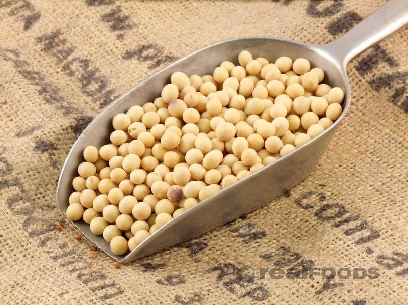 Soya Beans 