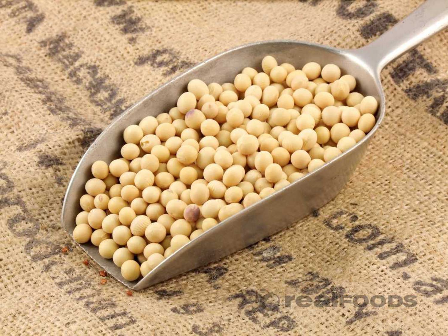 soya bean soya bean