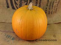 Picture of Pumpkin ORGANIC
