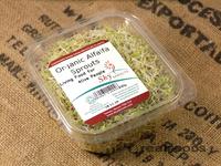 Picture of Alfalfa Sprouts ORGANIC