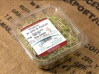 Picture of Alfalfa & Radish Sprouts ORGANIC