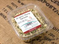 Picture of Mung Beans Sprouts ORGANIC