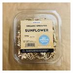 Picture of  Sunflower Sprouts ORGANIC