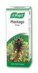 Picture of Plantago Ianceolata Tincture Vegan, ORGANIC