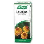 Picture of Spilanthes Herbal Product Vegan, ORGANIC