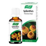 Picture of Spilanthes Herbal Product Vegan, ORGANIC