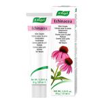 Picture of Echinacea Skin Cream ORGANIC