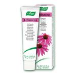 Picture of Echinacea Toothpaste ORGANIC