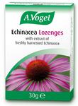 Picture of Echinacea Lozenges ORGANIC