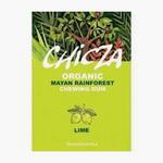 Picture of  Lime Chewing Gum Biodegradable ORGANIC