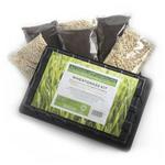 Picture of Wheatgrass Growing Kit ORGANIC