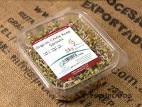 Picture of Radish Sprouts ORGANIC