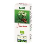 Picture of  Salus Hawthorn Plant Juice Vegan