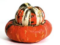 Picture of Turkish Turban Squash ORGANIC