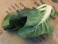 Picture of Pak Choi UK ORGANIC