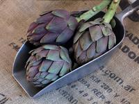 Picture of Globe Artichoke ORGANIC